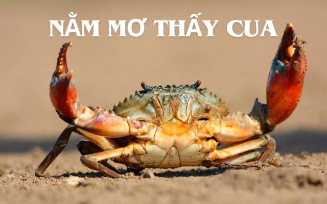 Nằm mơ thấy cua