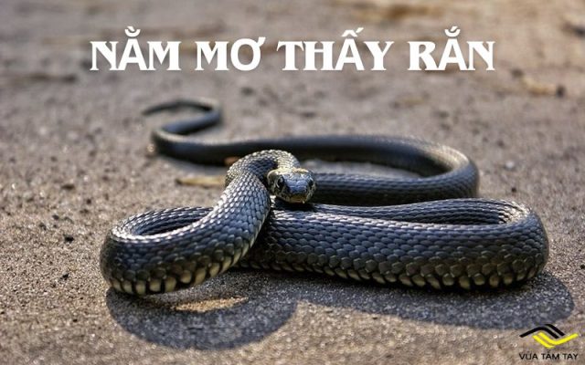 Nằm mơ thấy rắn