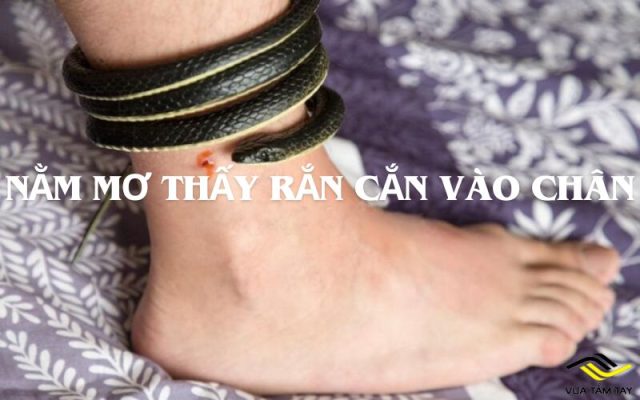 Nằm mơ thấy rắn cắn vào chân