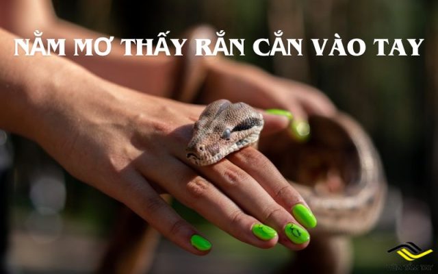Nằm mơ thấy rắn cắn vào tay