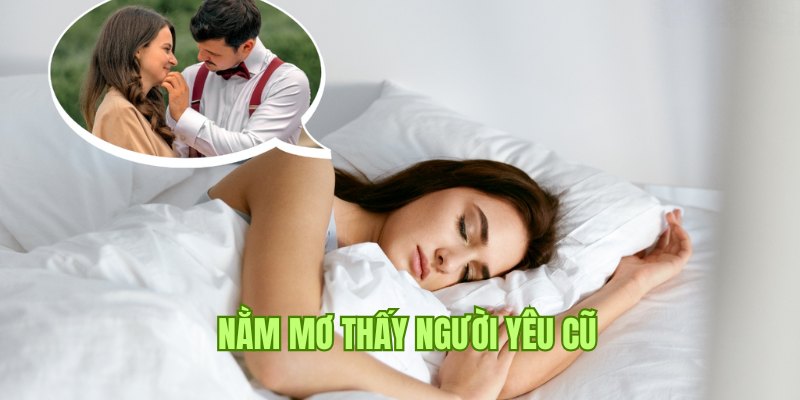 Nằm mơ thấy người yêu cũ đánh con gì