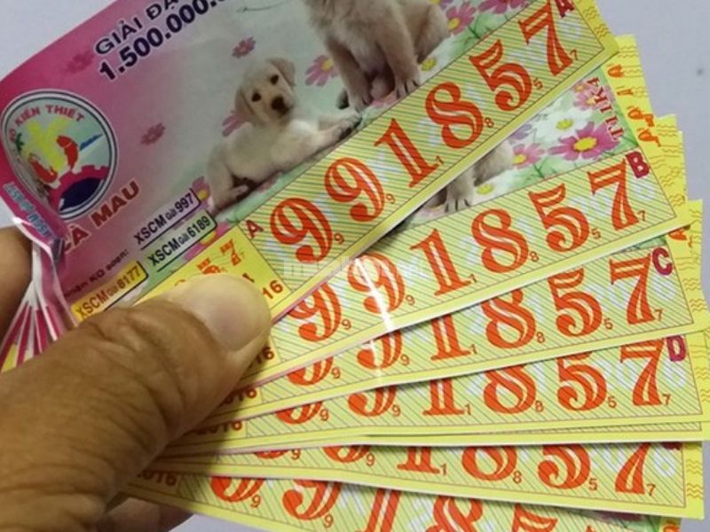 Ngủ mơ thấy được tặng vé số trúng