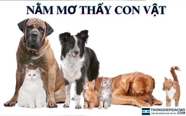 Nằm mơ thấy con vật