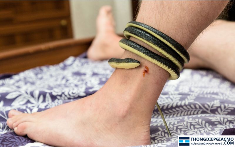 Ngủ mơ thấy bị rắn cắn vào chân