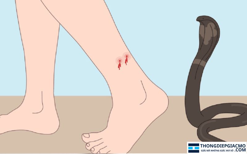Mơ thấy rắn chắn vào gót chân